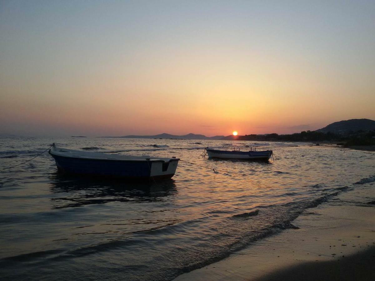 House,1000M From Beach ลาโกนิสซี ภายนอก รูปภาพ