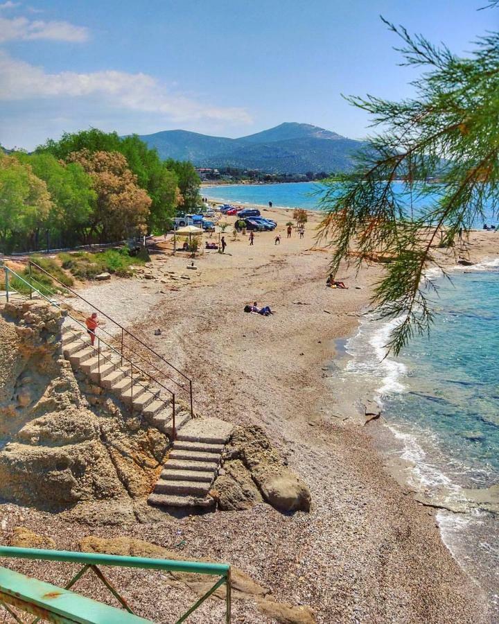 House,1000M From Beach ลาโกนิสซี ภายนอก รูปภาพ